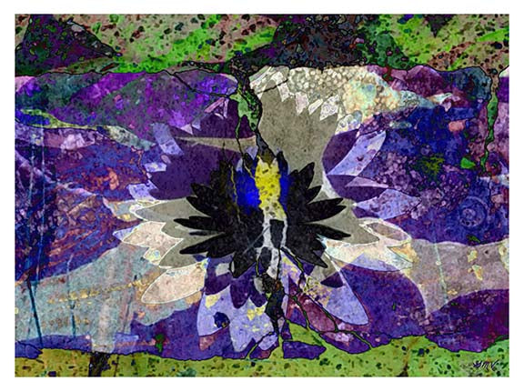 Lotus on Paper Abstract Nature Fine Art Print GMV PRINTWORK