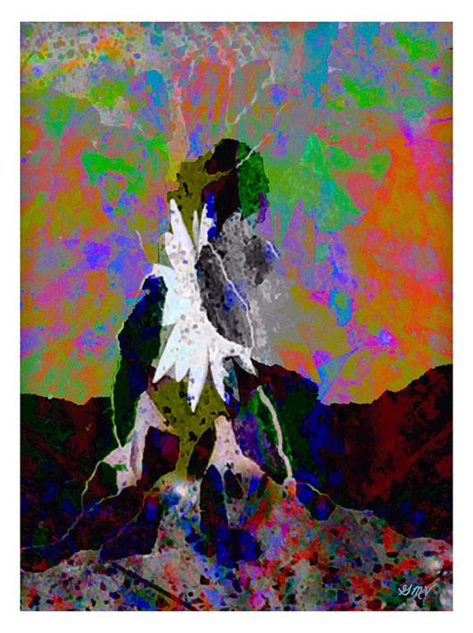 Meta Lotus 2 Abstract Nature Fine Art Print GMV PRINTWORK