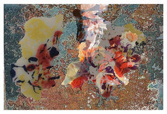 Shards 2 Abstract Nature Fine Art Print GMV PRINTWORK
